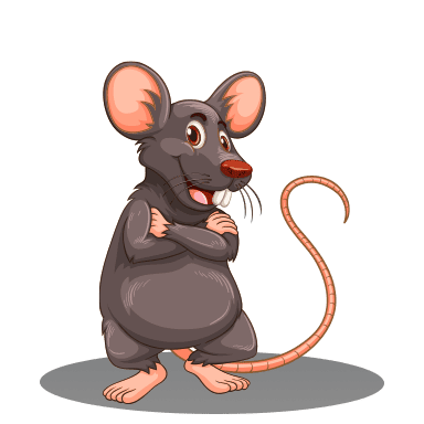 Tikus